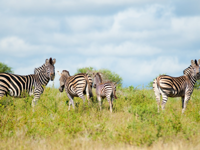 Route Kaapstad - Johannesburg, 17 dagen - Dag 15