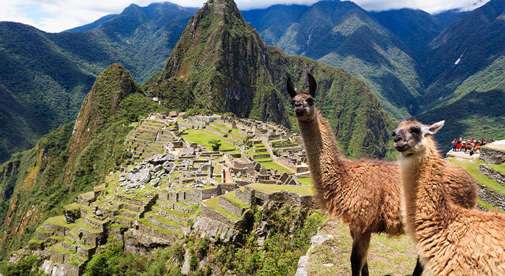 Machu Picchu