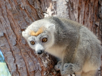 Route Madagascar, 19 dagen - Dag 8