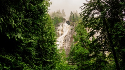 Shannon Falls
