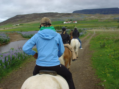 Route IJsland - Day 6