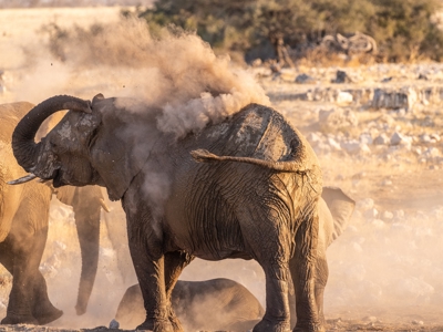 Route 22-35 Kenia & Tanzania, 20 dagen - Day 10