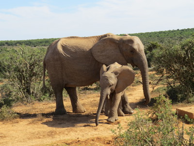 Route Johannesburg - Kaapstad, 17 dagen - Dag 6
