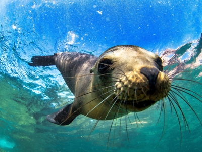 Route Ecuador en Galapagos, 22 dagen - Day 19