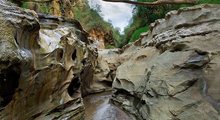 hells-gate-national-park hells-gate-national-park