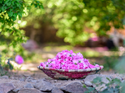 Route Saoedi-Arabië - 14 dagen - Dag 10