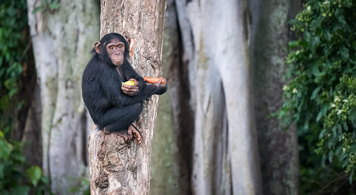 Puur Sawadee project Uganda Puur Sawadee project Uganda