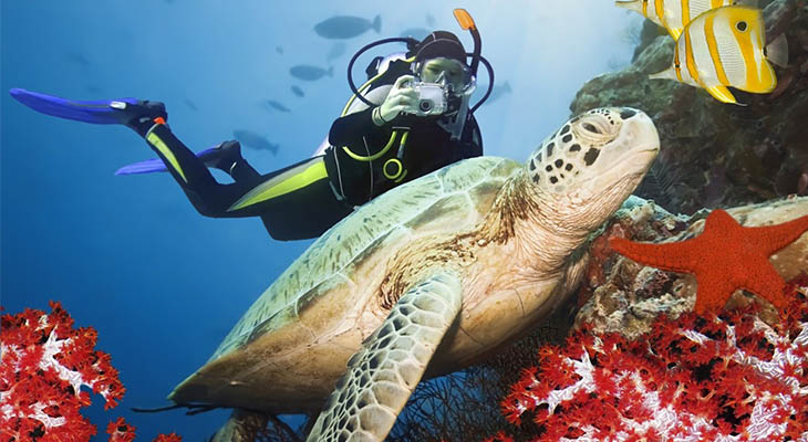Duiken bij Sipadan Duiken bij Sipadan
