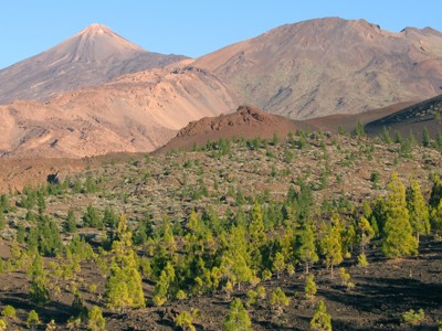 Canarische Eilanden, 8 dagen - Day 2