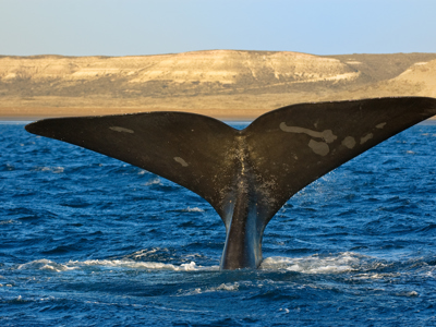 Route Costa Rica - Dag 11