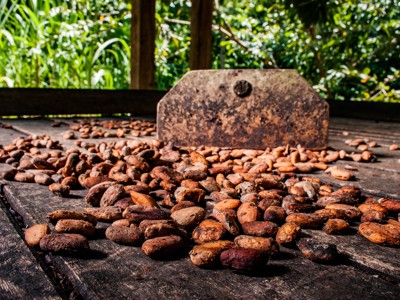 Route Cuba, 24 dagen - Day 15