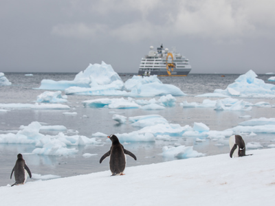 Ultramarine Wildlife