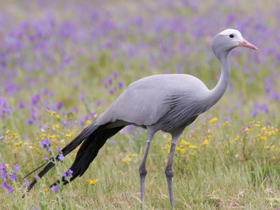 Route Kaapstad - Johannesburg, 17 dagen - Dag 12