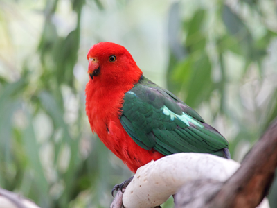 Route 1, Australië & Nieuw-Zeeland, 30 dagen - Day 4