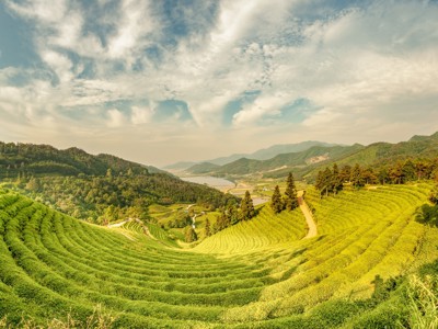 Route Zuid-Korea, 19 dagen - Dag 13