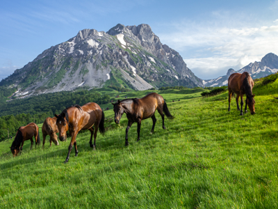 Route Zuid-Oost Europa, 22 dagen - Day 14