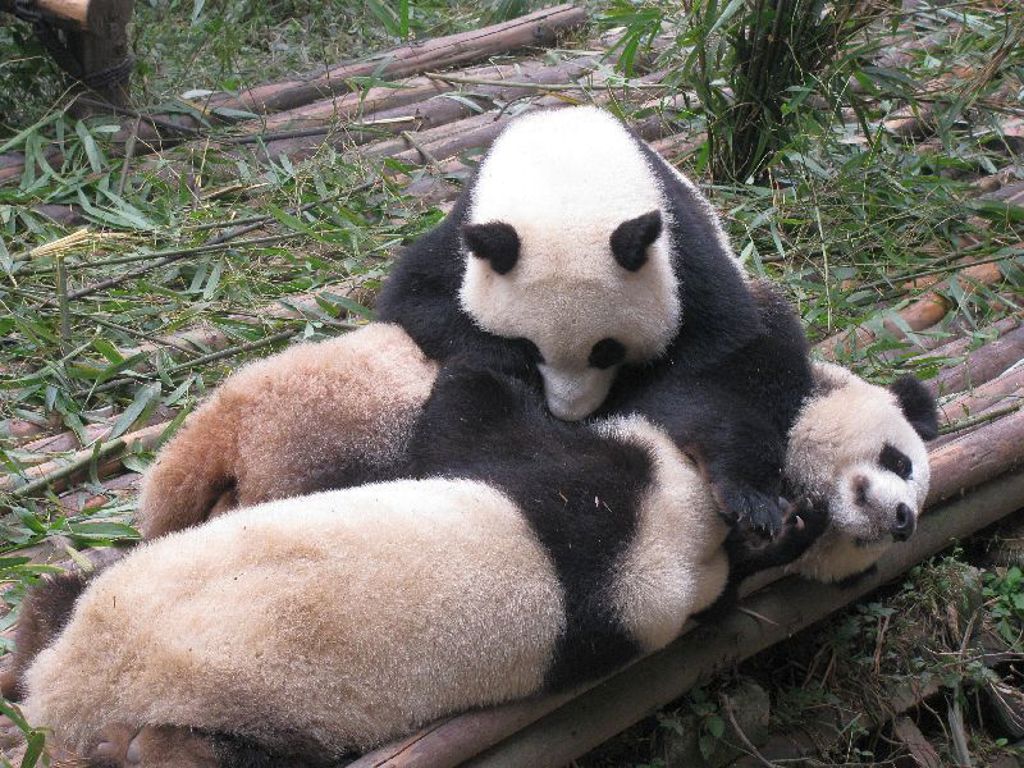 Samen met de kinderen