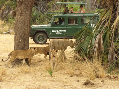 Route Zambia, Malawi en Tanzania, 24 dagen - Dag 19