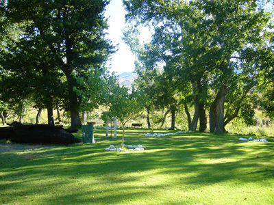 Driehoek Guest Farm