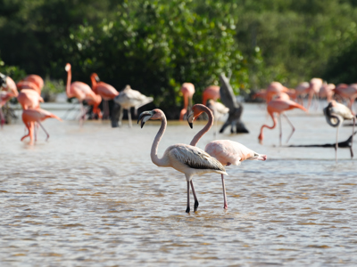 Route familiereis Mexico - Dag 5