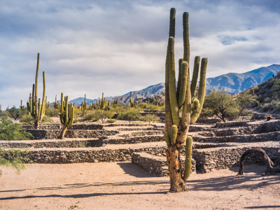 Route Argentinië - Day 19