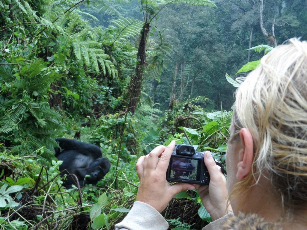 Rondreis Uganda Gorilla trekking