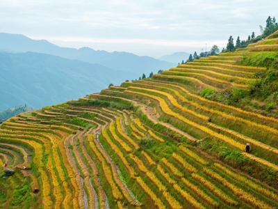 Route China, 17 dagen - Day 11