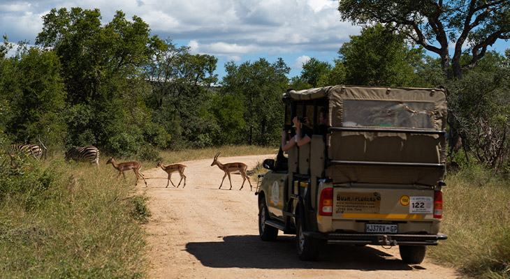 Gamedrive Zuid-Afrika
