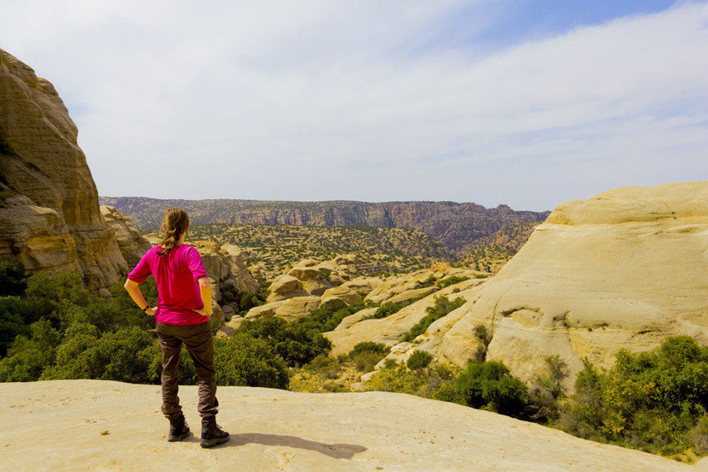 main_Jordani__-_Dana_Nationaal_Park__9_.jfif