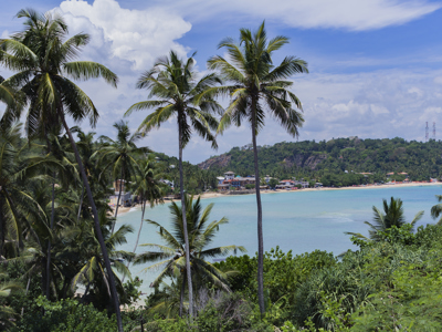 Route Sri Lanka, 16 dagen - Unawatuna - Dag 14