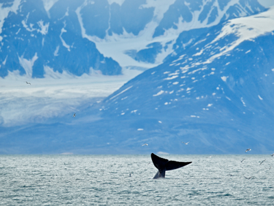Route 12 dagen Spitsbergen - Dag 3