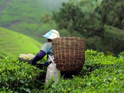 Route West Maleisië & Borneo, 19 dagen - Dag 12