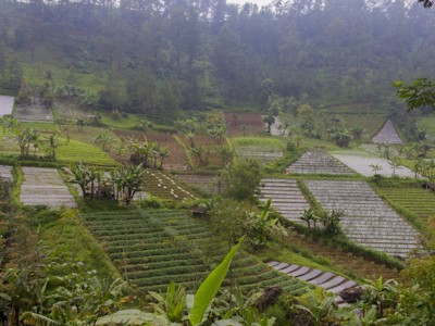 Route Java en Bali, 22 dagen - Day 5