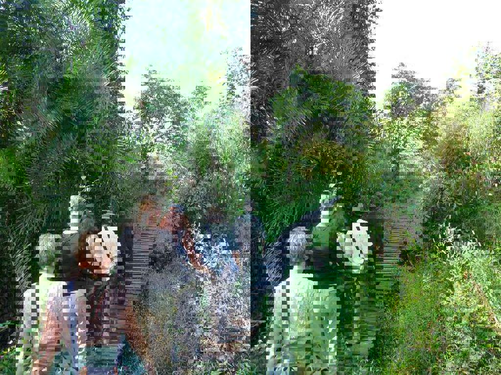 main_19-Bigodi-Swamp.jpeg (1)