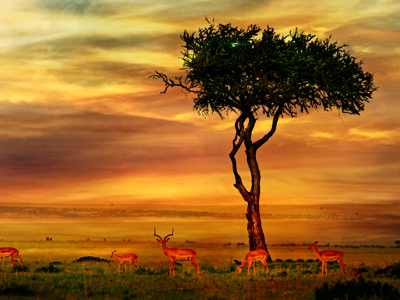 Route Johannesburg - Kaapstad - Dag 2