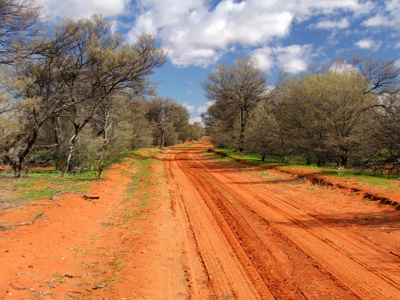 Route 1, Australië & Nieuw-Zeeland, 30 dagen - Day 8