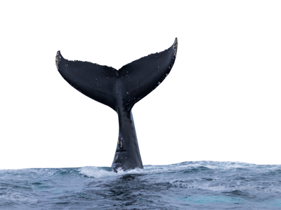 2024: 13-daagse reis - Dag 11