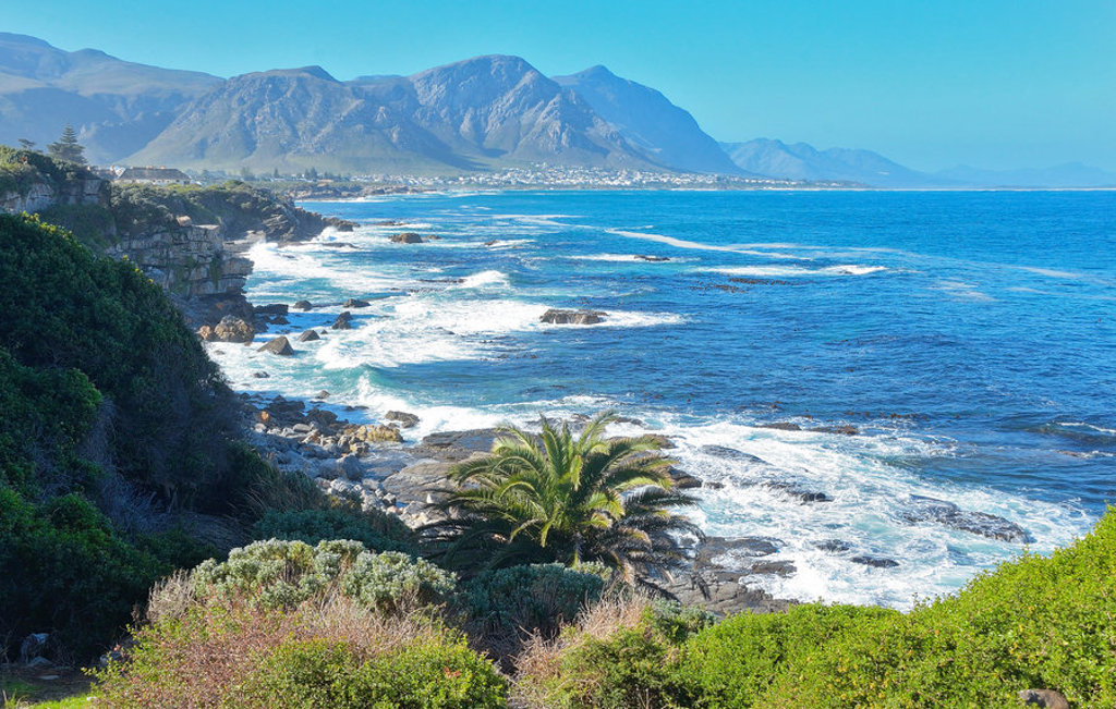 main_shutterstock_597220955_Hermanus.jpg