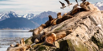 Groepsrondreis Patagonië Hoogtepunten
