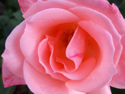 Route Cyprus, 8 dagen - Day 7