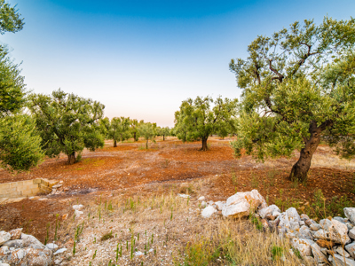 Route Alberobello - Matera 2024 - Day 3