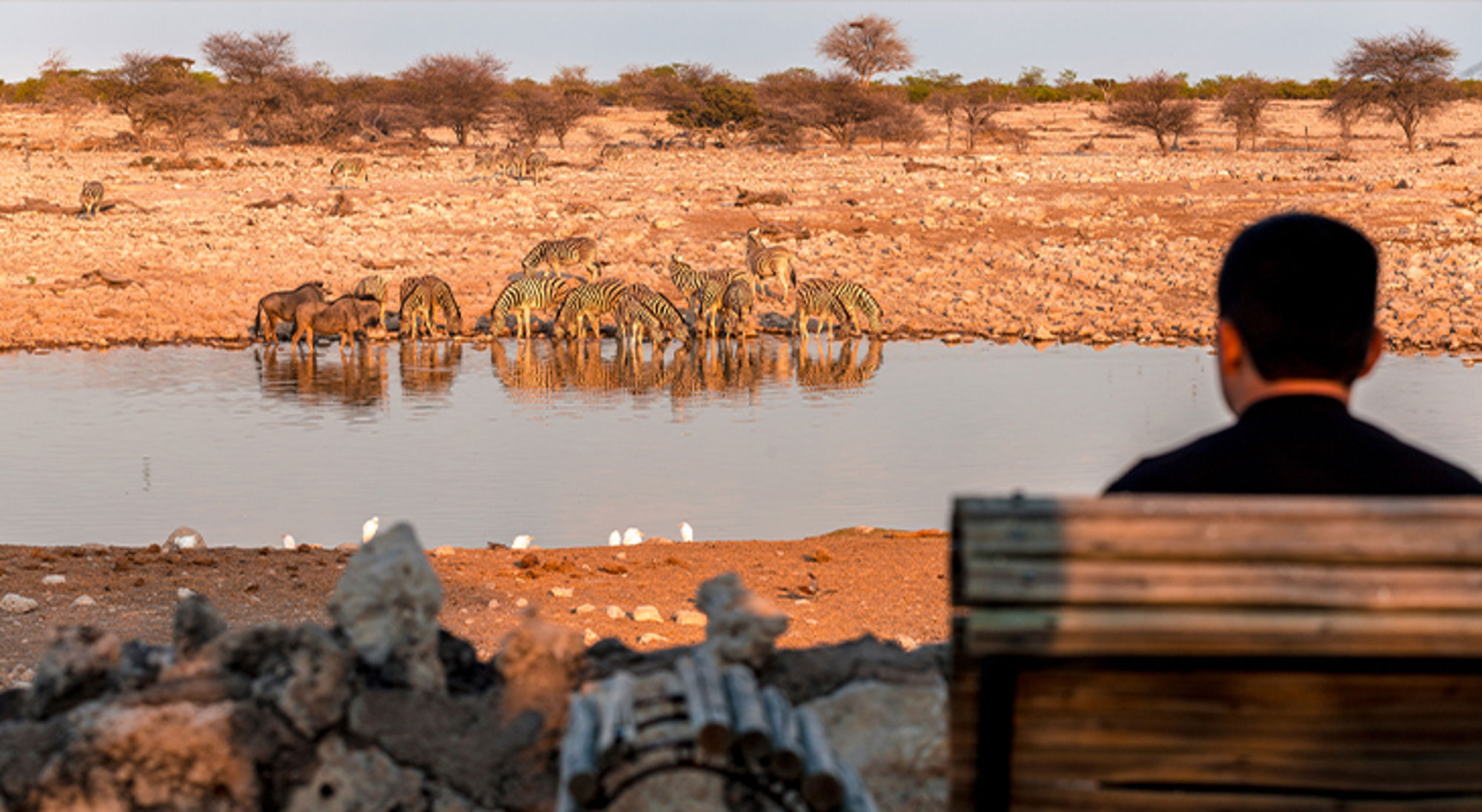 Okaukuejo Camp Etosha Namibië Okaukuejo Camp Etosha Namibië