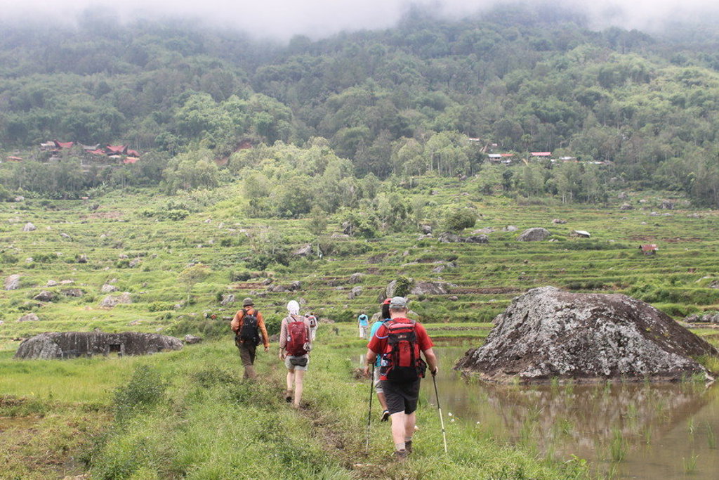 main_Indonesi__-_Sulawesi_-_Toraja_Trek_1.jpeg