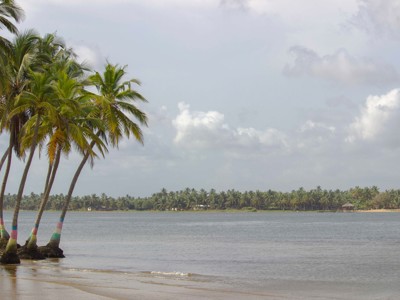 Palmbomen aan een rustig strand met uitzicht over het water in Ghana, Togo en Benin.