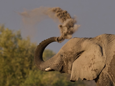 Kenia, Tanzania en Zanzibar, 22 dagen - Dag 14