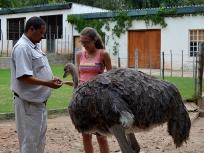 Route Kaapstad - Johannesburg, 17 dagen - Dag 7