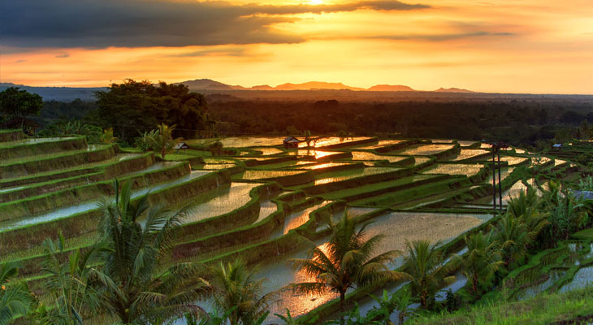 Jatiluwih zonsondergang Indonesië