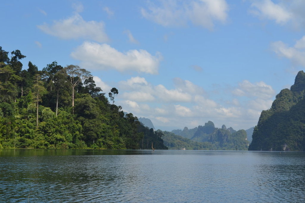 main_Thailand_-_Khao_Sok_NP__5_.jfif