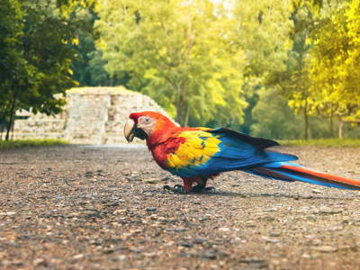 23-daagse route Guatemala, El Salvador en Honduras - Day 13