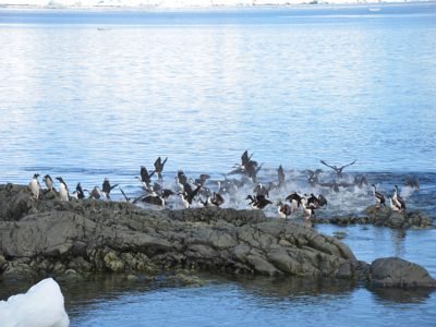 Antarctica Route - Dag 5